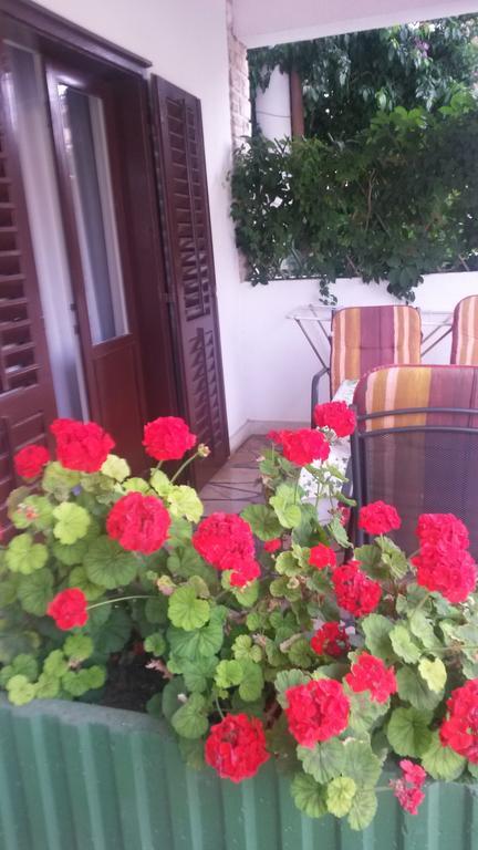 Apartments Soric Rovinj Buitenkant foto